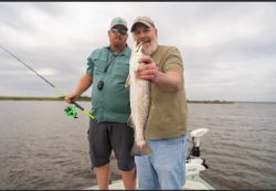 Spotted Weakfish caught while fishing in LA