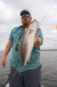Spotted weakfish, 23 inches, caught while fishing in LA