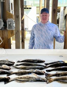 Spotted weakfish, 23 inches, caught fishing in LA