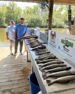 Spotted Weakfish, 149 inches, fishing in LA
