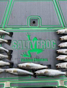 Three spotted weakfish in LA