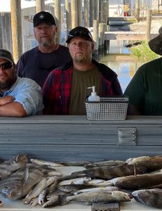 Spotted weakfish, 16-inch fish, 3 people fishing in St Bernard