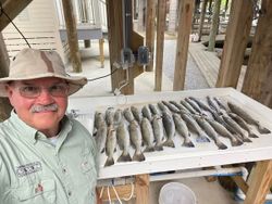 5 fish caught by person in St Bernard
