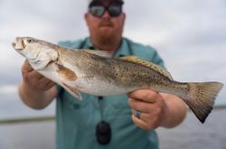 Angler with 25-inch fish in LA