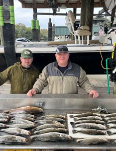 2 spotted weakfish, fishing in St Bernard