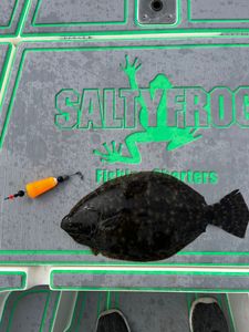 A summer flounder caught in LA