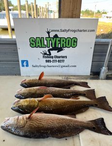 Redfish caught in St Bernard