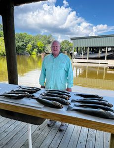Two Alligator Gar caught while fishing in St Bernard