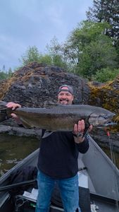 Massive Chinook salmon catch