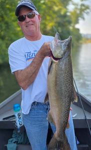 Powerful Chinook salmon catch