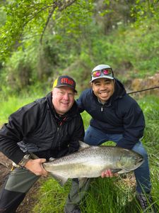 Impressive Chinook salmon catch