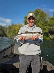 Fisherman with rainbow trout in Central Point