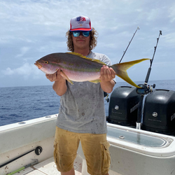 Oak Orchard Creek = angler's paradise