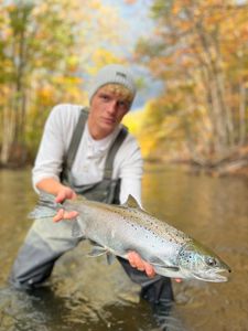 Angler fishing in Waterport