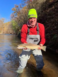 A sea trout caught while fishing in NY