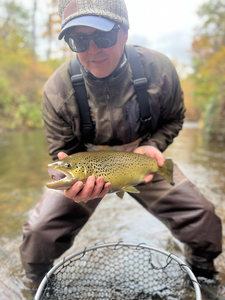 Nice spotted brown trout on the fly today!