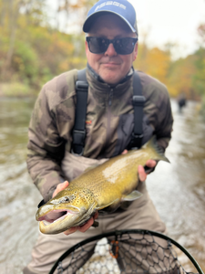 Nice brown trout on the fly! Great day on the water despite the weather.