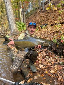 Coho salmon caught while fishing in NY