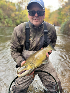 Great catch on the fly today! Autumn fishing conditions were perfect despite the weather.