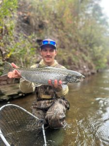 Rainbow trout fish caught in Waterport