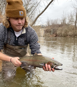 A rainbow trout fish caught in Waterport during fishing