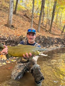 A rainbow trout being caught while fishing in Waterport