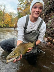 Rainbow trout caught while fishing in Waterport