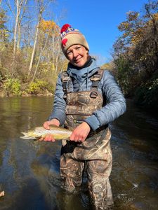Photograph of a sea trout caught while fishing in Waterport