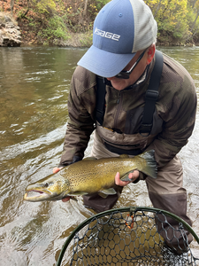 Exciting sea trout action on the fly today! Perfect conditions despite the rain.