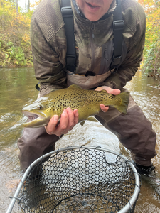 Nice sea trout on the fly! Great day on the water despite the clouds.