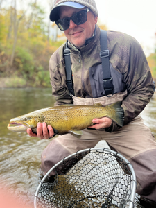 Nice sea trout on the fly! Adventure fishing at its best.