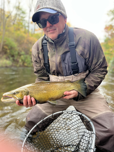 Nice sea trout caught fly fishing today!