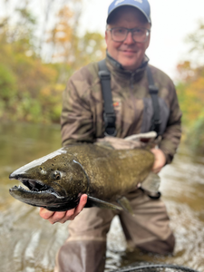 Nice sea trout on the fly despite the cloudy weather!