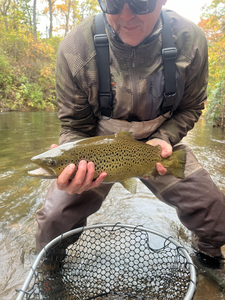 Nice sea trout on the fly during partly cloudy conditions!
