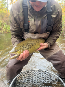 Nice sea trout on the fly today!