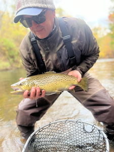 Nice sea trout on the fly fishing setup today!