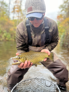 Nice sea trout on the fly fishing setup today!