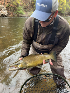 Nice sea trout on the fly today! Great action despite the weather.