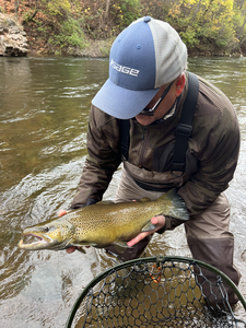 Nice sea trout on the fly! Autumn colors made for an exciting day on the water.