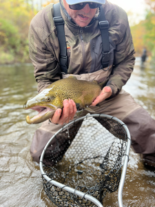 Nice sea trout on the fly! Great conditions despite the rain.