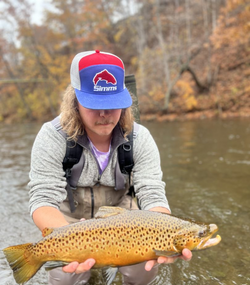 Sea trout caught at Waterport