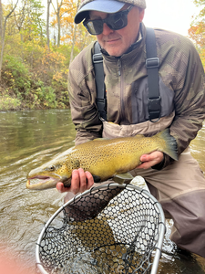 Nice speckled trout on the fly today!