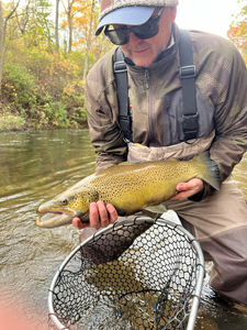 Nice speckled trout caught fly fishing in autumn conditions!