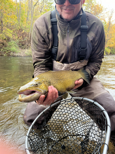 Nice spotted catch using fly fishing technique today!