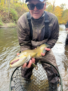 Great day fly fishing with this beautiful spotted catch!