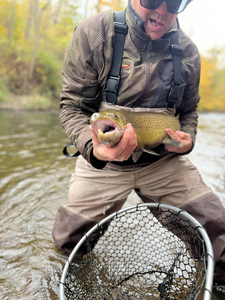 Nice trout on the fly today! Autumn colors made for perfect fishing conditions.