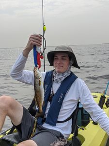 Fish-Species