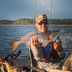 Fish-Species