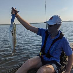 Tight lines on a Forgotten Coast bluefish.