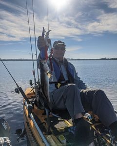 Kayak Fishing Guides, Big Bend
